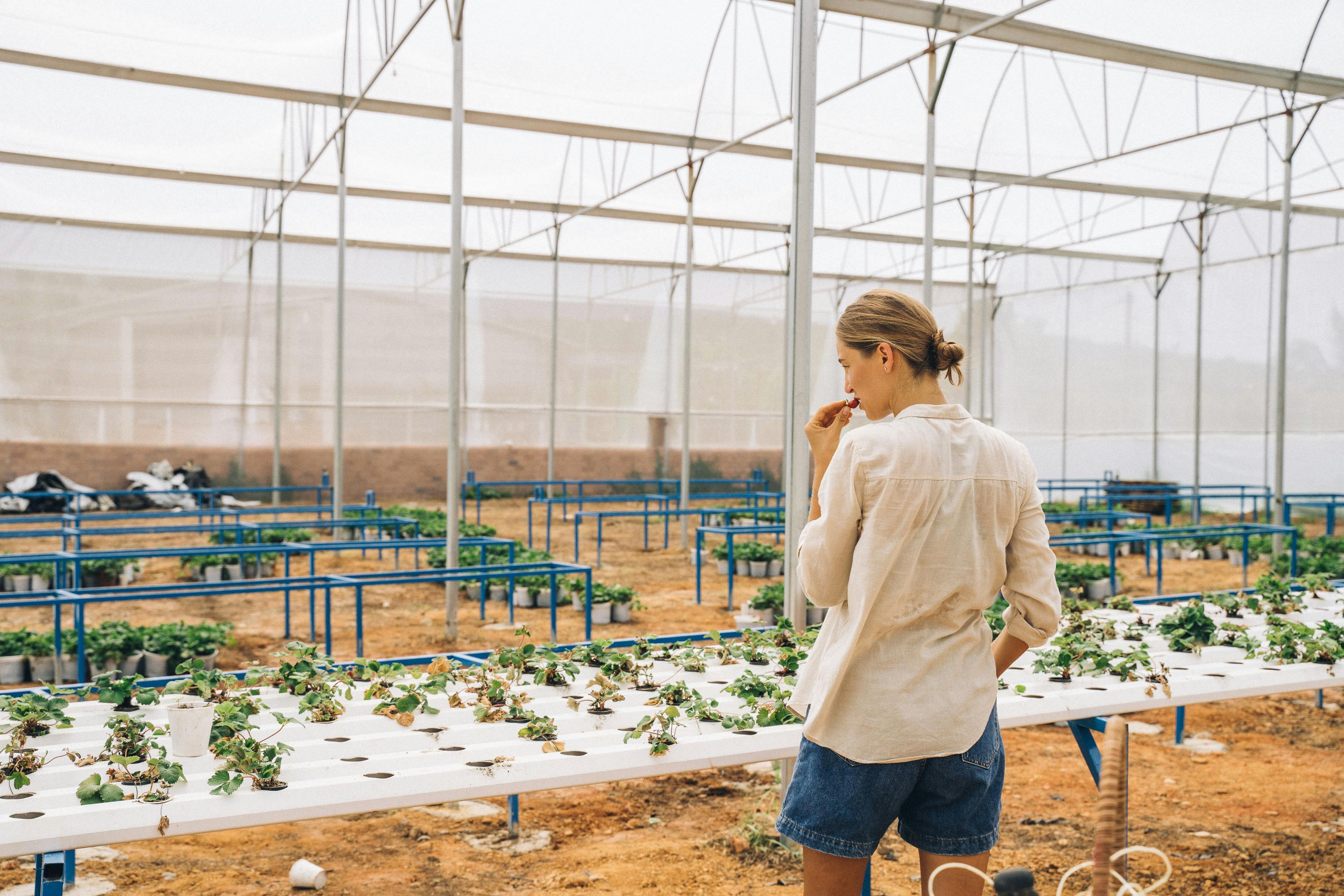 Agriculture category banner